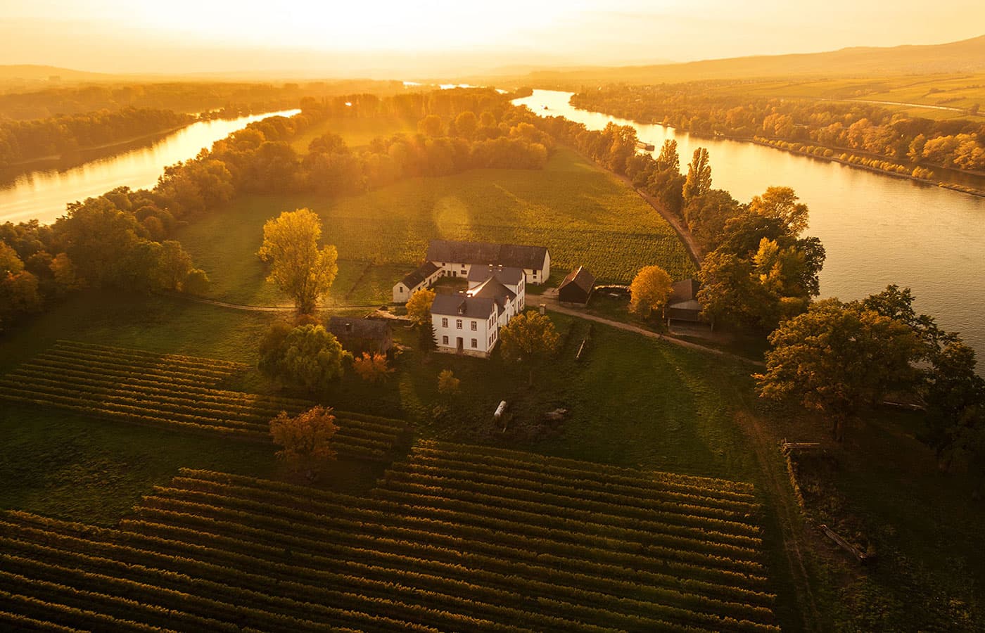Insel Mariannenaue im Rhein