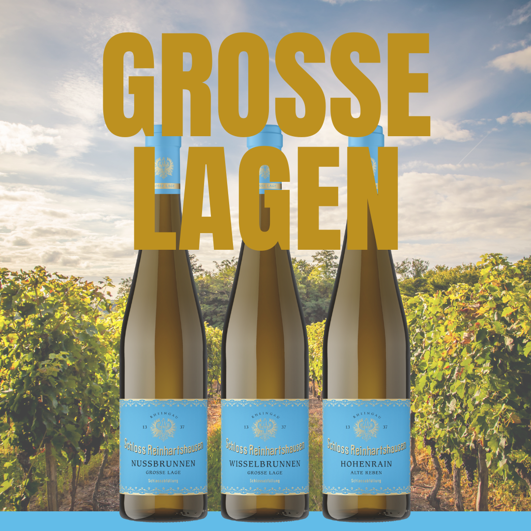 Riesling GROSSE LAGEN - Paket